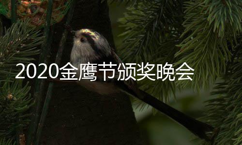 播在 颁播几哪看会直点开礼直始金鹰节颁奖晚奖典